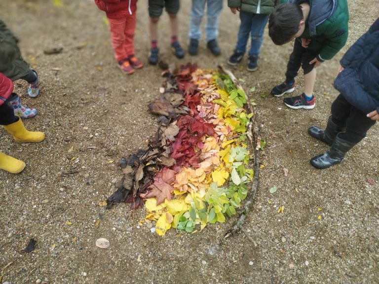 123764519_433234108077265_6943041503892346854_n