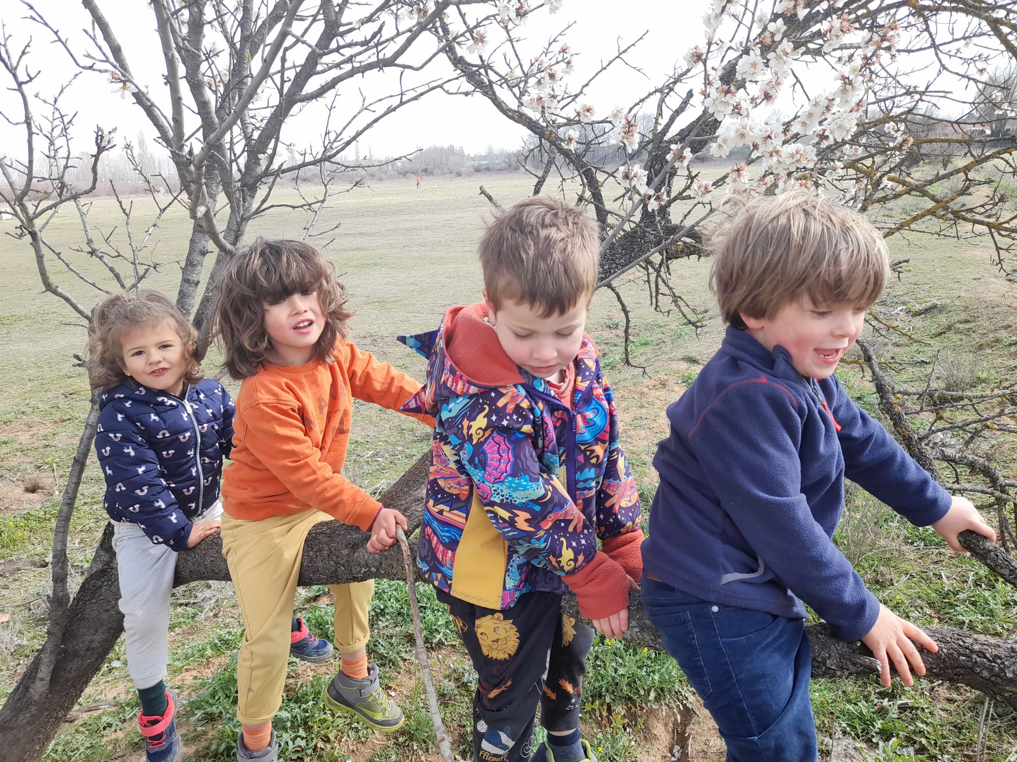 74a40520-7f28-4510-9a15-23faa9d261bf 2