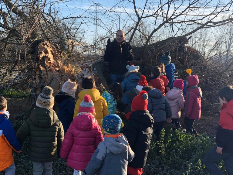 84039475_200632228004122_9131021598516576256_n