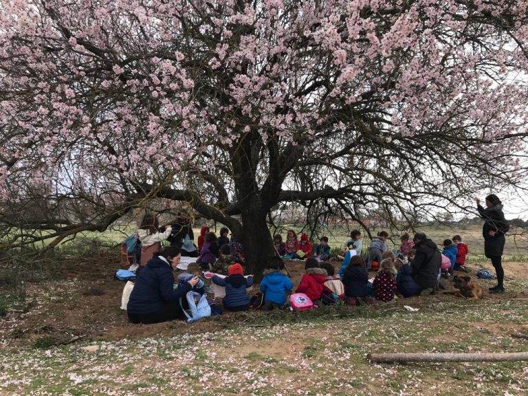 a3d33873-5a86-4fb0-8543-154ac38a19da